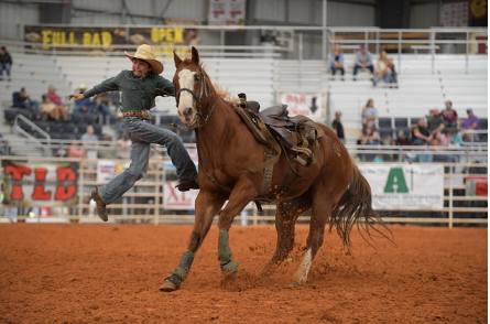 Goat tying run at a SFLBRA qualifier
